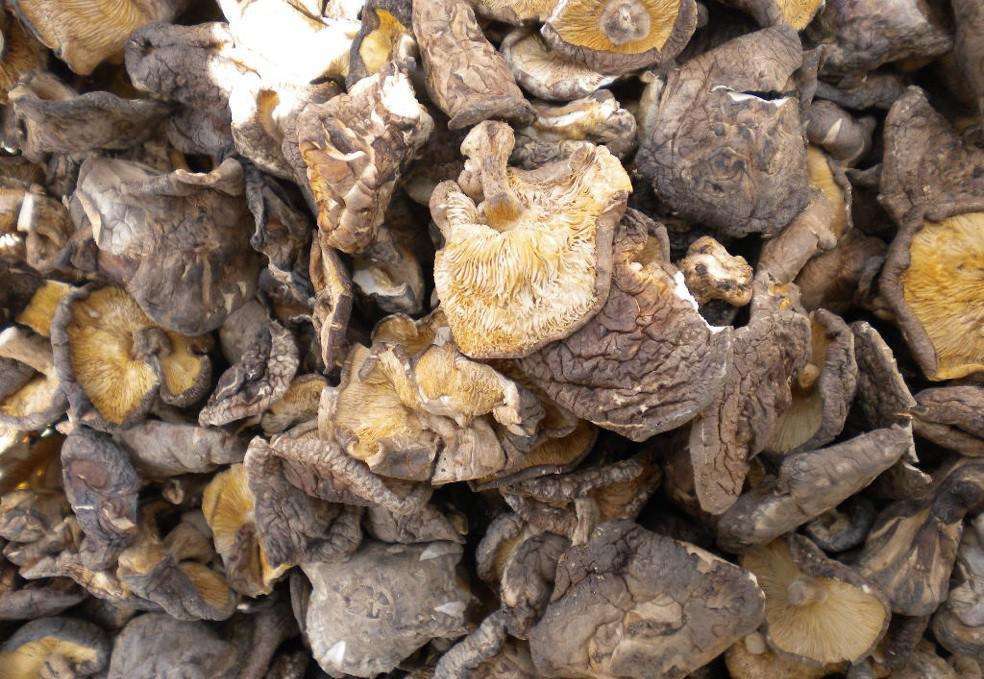 丽水食堂承包